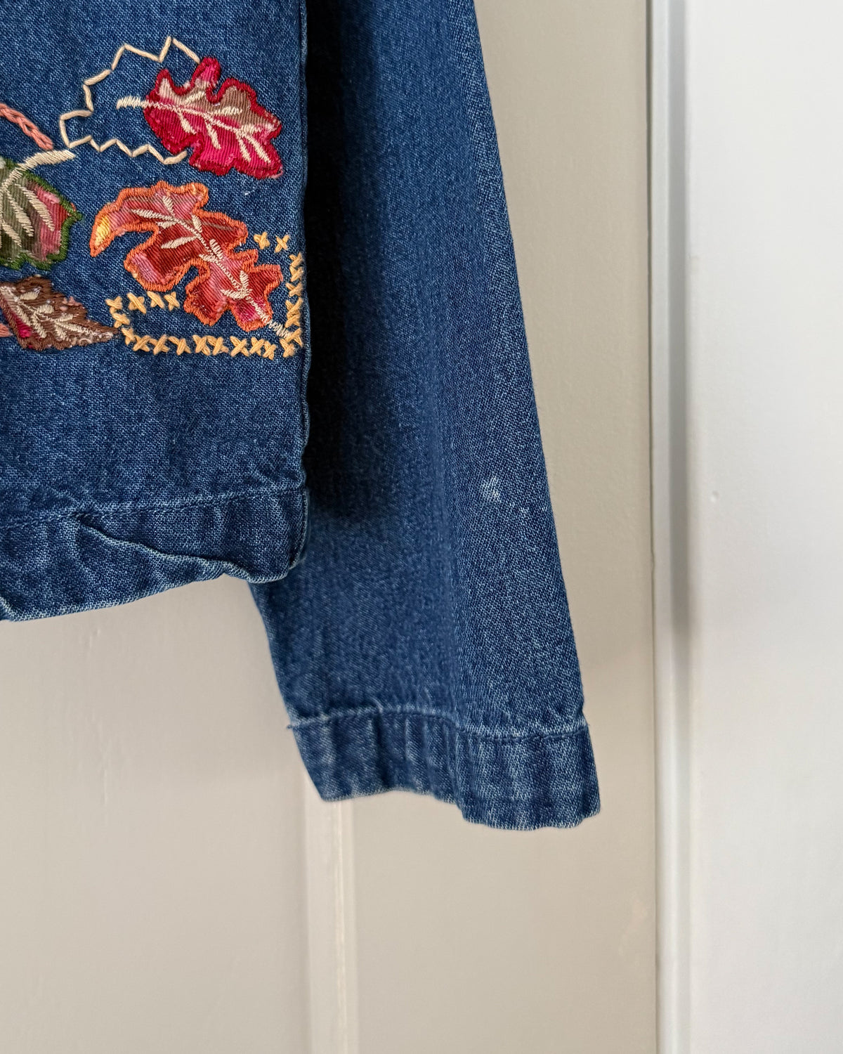 2000’s Fall Denim Jacket