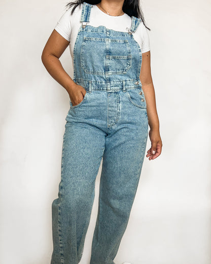 We The Free Denim Overalls
