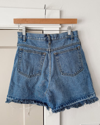 Great Land Denim Fringe Shorts W26