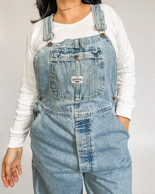 Lee Dungarees Carpenter Denim Overalls