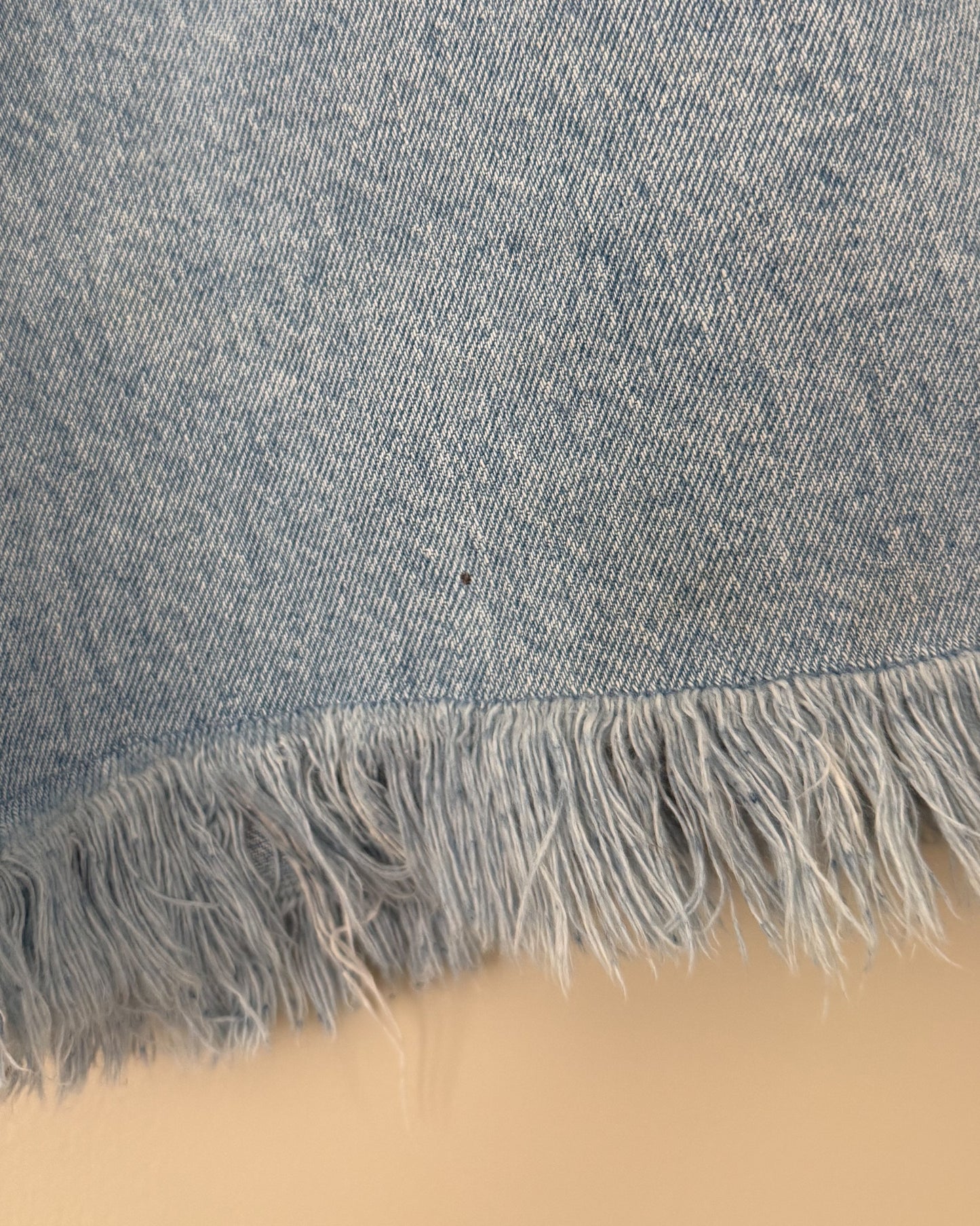 Venezia Light Wash High Rise Denim Shorts