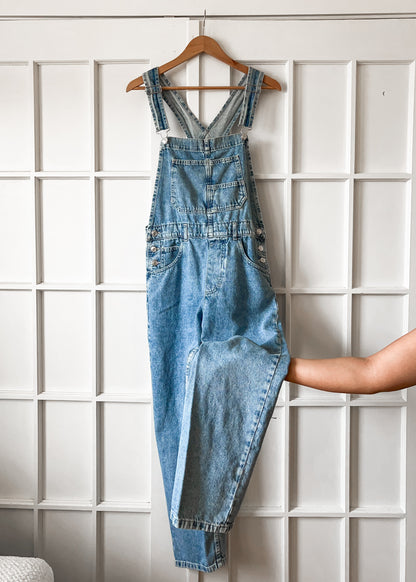 We The Free Denim Overalls